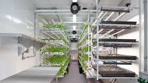 📌 Indoor Farming & CEA – Professional Agricultural Solutions